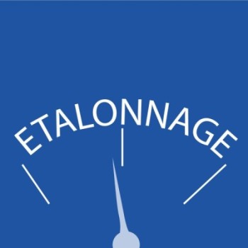 Certificat d'Etalonnage de Peson Electronique (au-delà de 10 T) - BLET