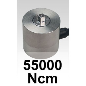 Cellule de Vérification des Clés Dynamométriques 55000 NCM