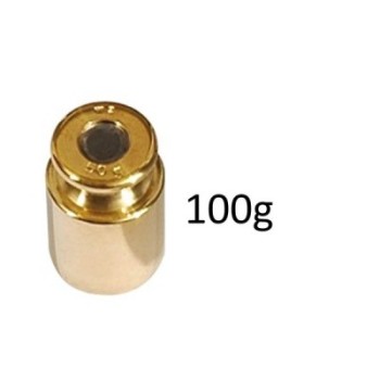 Calibration weight 100 g , ref : ACCP0-P10001L PESOLA ACCP0-P10001L : securemail.fr