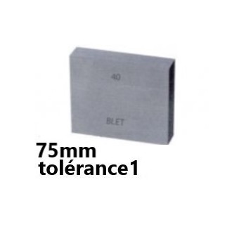 GAUGE BLOCK IN STEEL BLET