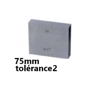 GAUGE BLOCK IN STEEL BLET