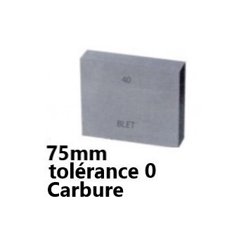 GAUGE BLOCK IN CARBIDE BLET