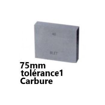 GAUGE BLOCK IN CARBIDE BLET