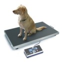 VETERINARY SCALE 0-150 KG READING 50 G PLATE 950 MM X 500 MM BLETRéf : BAL21-V0K150N1 BLET BAL21-V0K150N1 : securemail.fr