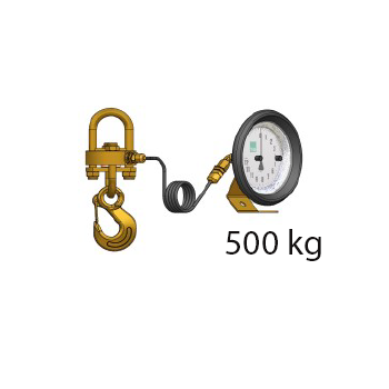 Crane scale with remote reading DYNT0 500 kg ref : DYNT0-D0050-00 BLET DYNT0-D0050-00 : securemail.fr