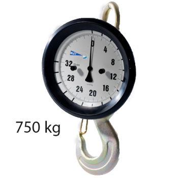 Crane Scale DYNT0 750 kg ref : DYNT0-C0075-00 BLET DYNT0-C0075-00 : securemail.fr