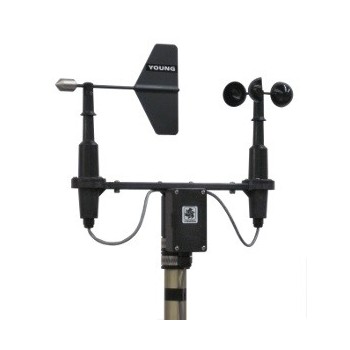 SENTINELLE VENT  ref : 03002X YOUNG 03002X  : Instruments de Mesure et Contrôle - Direct Usines