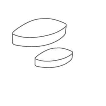 5 BARRES AIMANTEES ELLIPTIQUES REVETEMENT PTFE BLET Ref :ACC85-AMBEPXX BLET ACC85-AMBEPXX  : Instruments de Mesure et Contrôle -