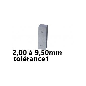 CALE ETALON EN ACIER BLET ref:CALXX-1A00XPXX BLET CALXX-1A00XPXX  : Instruments de Mesure et Contrôle - Direct Usines