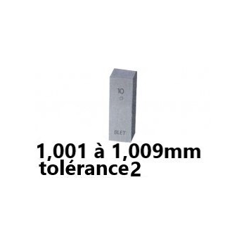 CALE ETALON EN ACIER BLET ref:CALXX-2A01P00X BLET CALXX-2A01P00X  : Instruments de Mesure et Contrôle - Direct Usines